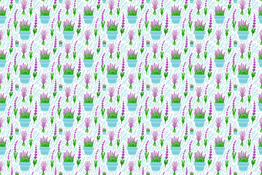 1143279 (a): :1920x1280